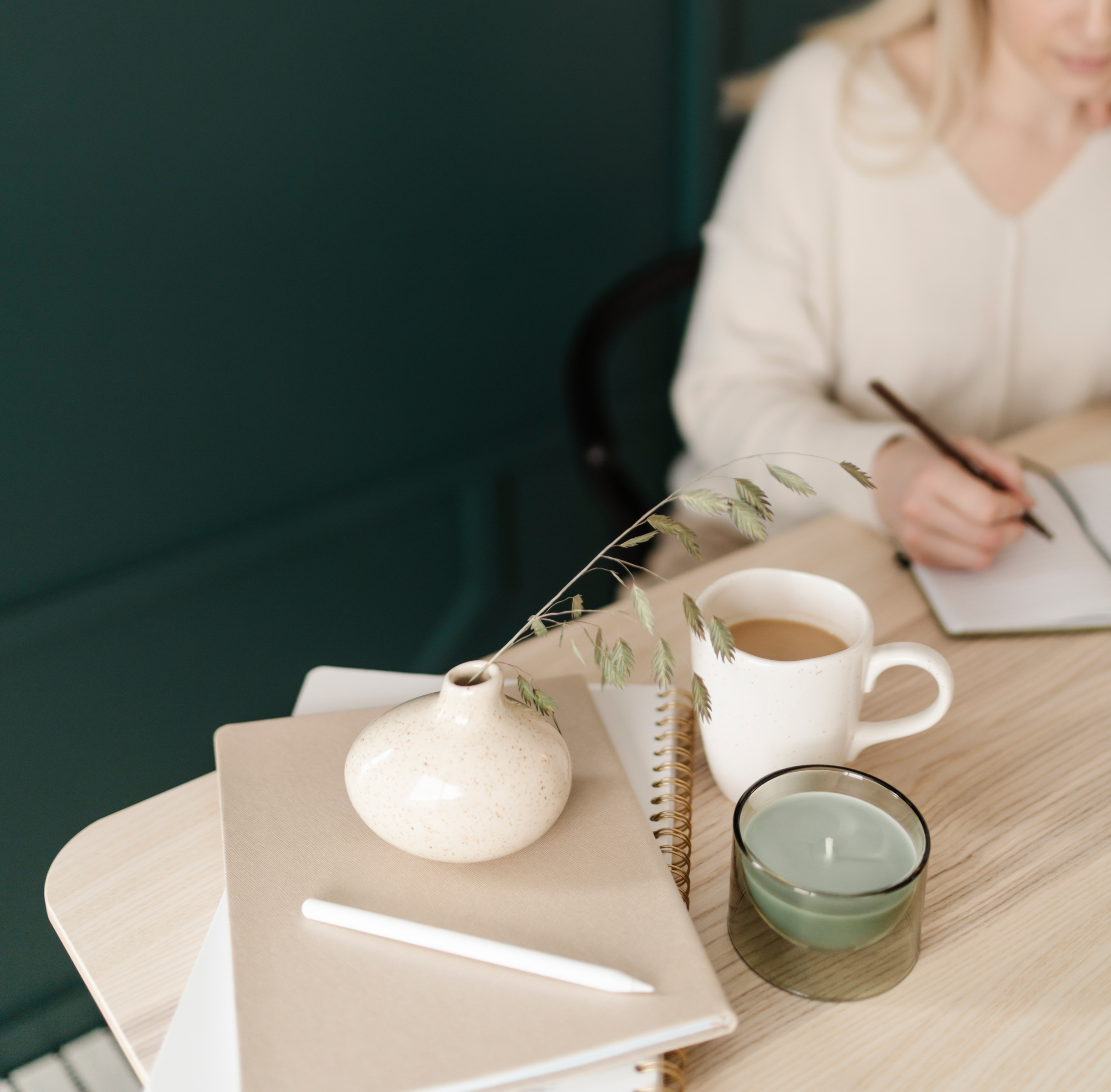How I Work Functional Medicine: Clinical Principles of Functional Medicine